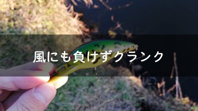 花見川バス釣りブログ 自作クランクでバス釣りしている人のブログです